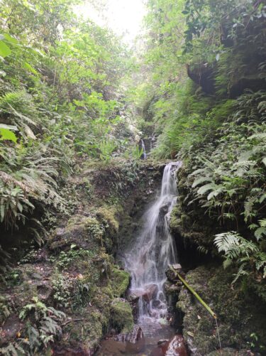 鴨川源流沢登り（三段の滝）